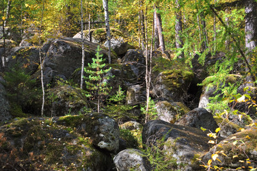 Similar image 290073