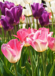 Similar image 290077