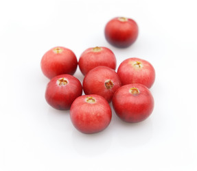 Similar image 290084