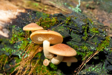 Similar image 290092