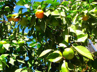 Similar image 290094