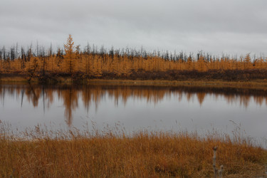 Similar image 290105