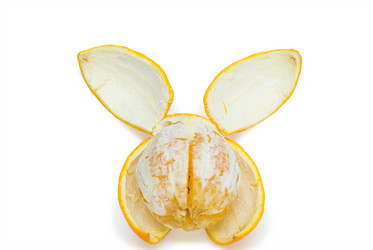 Similar image 290129