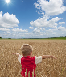 Similar image 290147