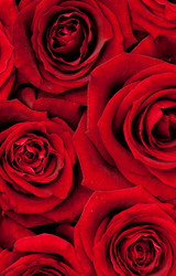 Similar image 290200