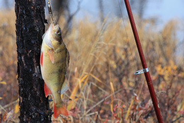 Similar image 290226