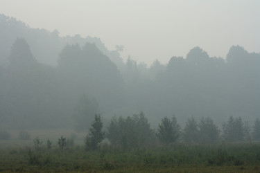 Similar image 290254