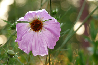 Similar image 290257