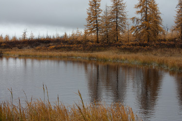 Similar image 290262