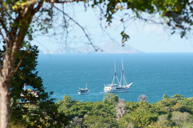 Similar image 290266