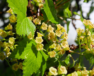 Similar image 290267