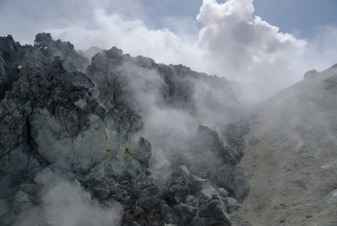 Similar image 290313