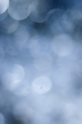 Similar image 290324