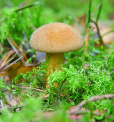 Similar image 290337