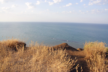 Similar image 290338