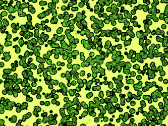 Similar image 290349