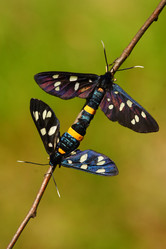 Similar image 290365