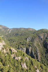 Similar image 290366