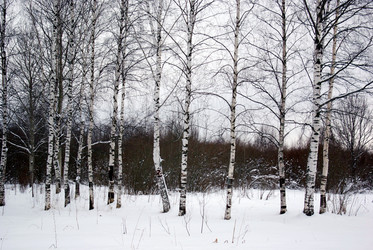 Similar image 290389