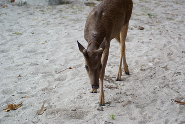 Similar image 290447