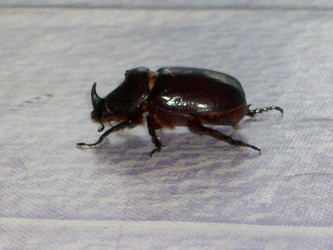 Similar image 290448