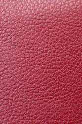 Similar image 290450