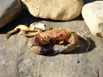 Similar image 290487