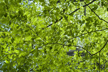 Similar image 290499