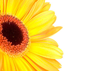 Similar image 290541