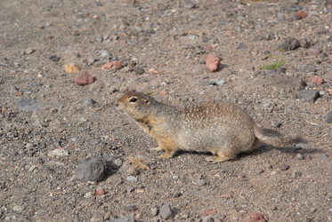 Similar image 290545