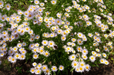 Similar image 290552