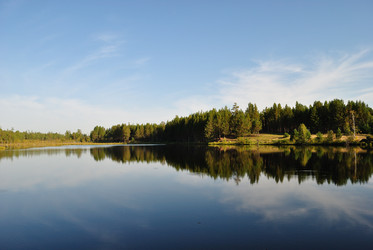 Similar image 290554