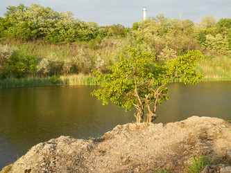 Similar image 290586