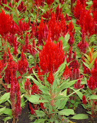 Similar image 290592