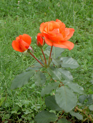 Similar image 290598