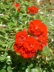 Similar image 290620