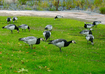 Similar image 290661