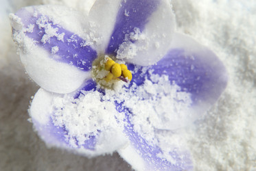 Similar image 290688