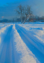 Similar image 290749