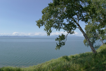 Similar image 290752