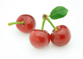 Similar image 290757