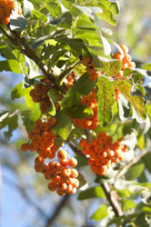 Similar image 290758