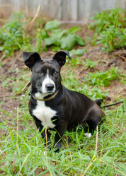 Similar image 290778