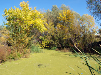 Similar image 290816