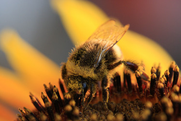 Similar image 290824