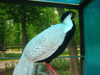 Similar image 290828