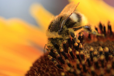 Similar image 290829