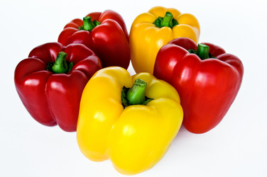 Similar image 290831