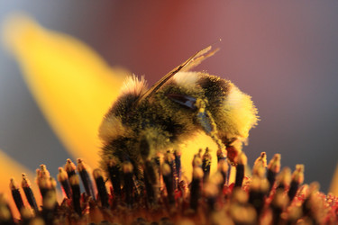 Similar image 290834