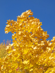 Similar image 290861